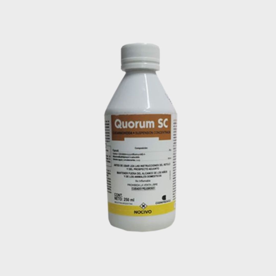 quorum-x-250-ml-x24-6768