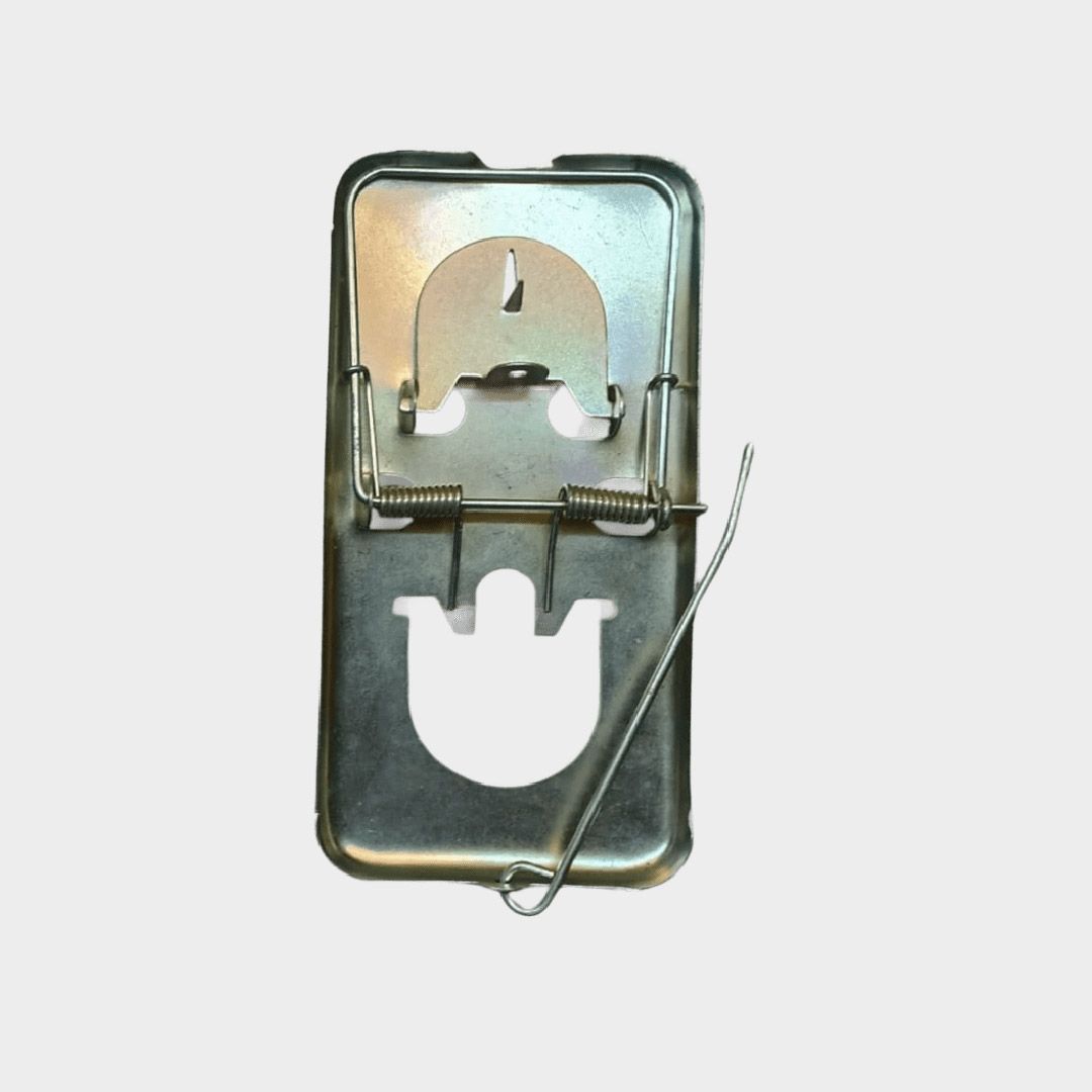 trampas-ratas-metalicas-7521